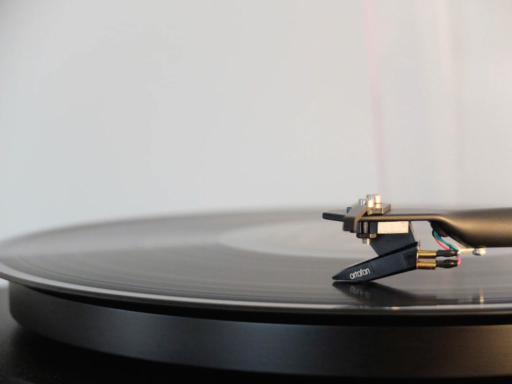 How Alternative Music Communities Build Lasting Connections