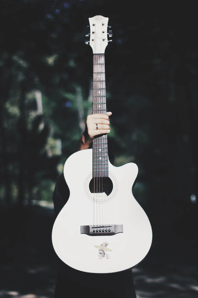 The Vital Link: DIY Music and the Emo Scene