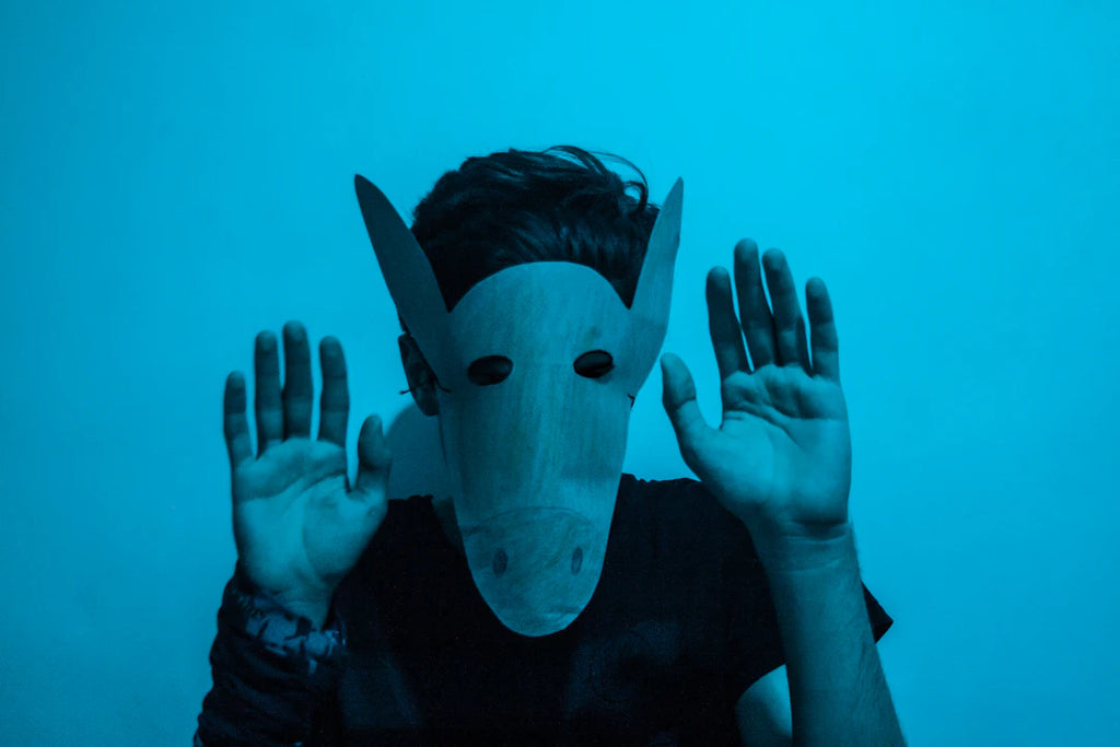 Alternative Music Videos & Artist Image Transformation