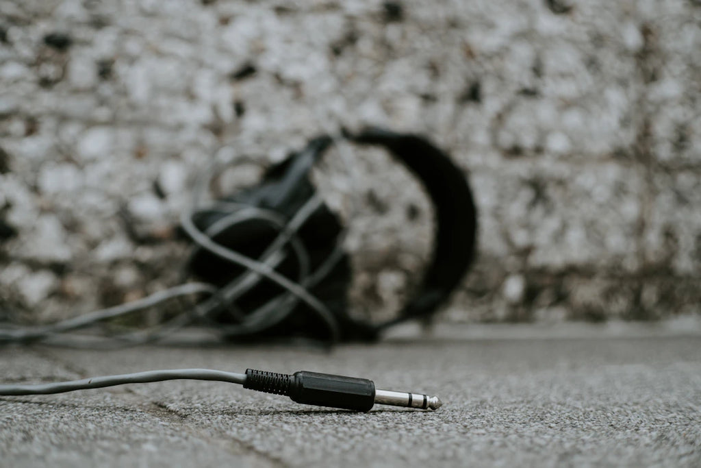 Exploring Fan Culture in Alternative Music