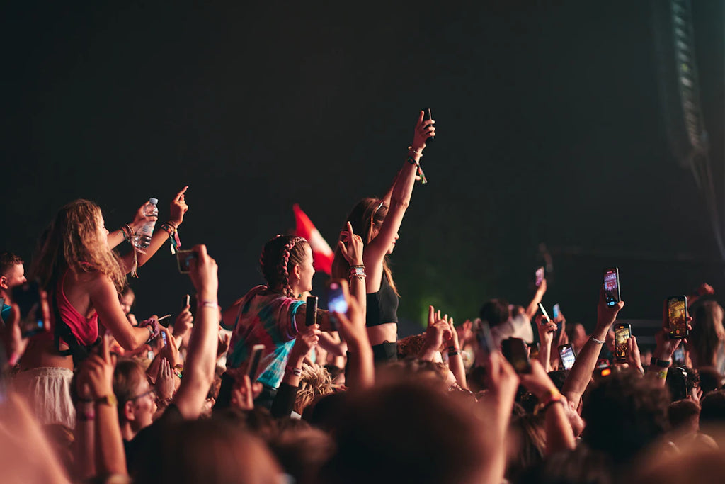The Impact of Streaming on Alternative Artists