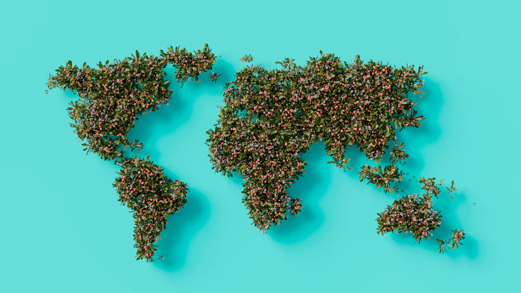 Exploring Global Influences in Alternative Music