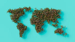 Exploring Global Influences in Alternative Music